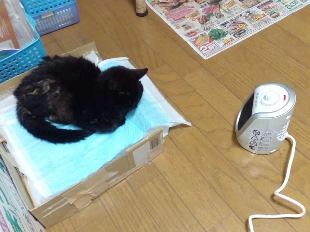 img_20201112_171924.jpg